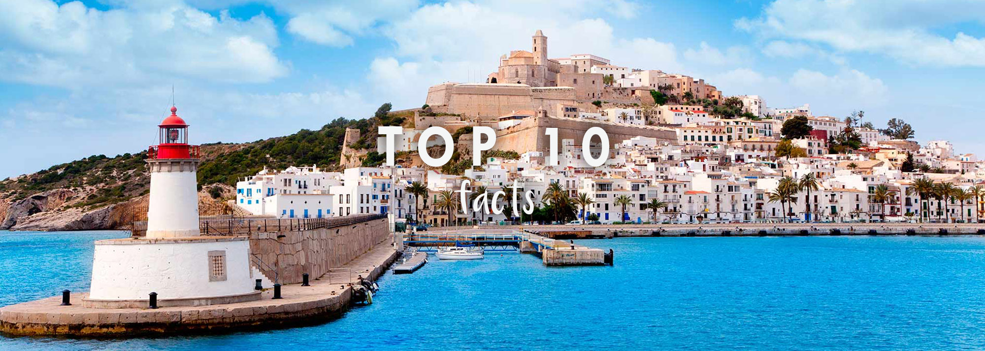 Top 10 Facts!