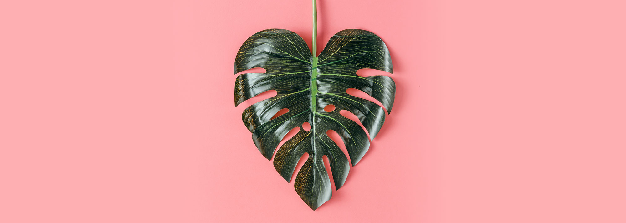 The gifts you’ll actually want to give!