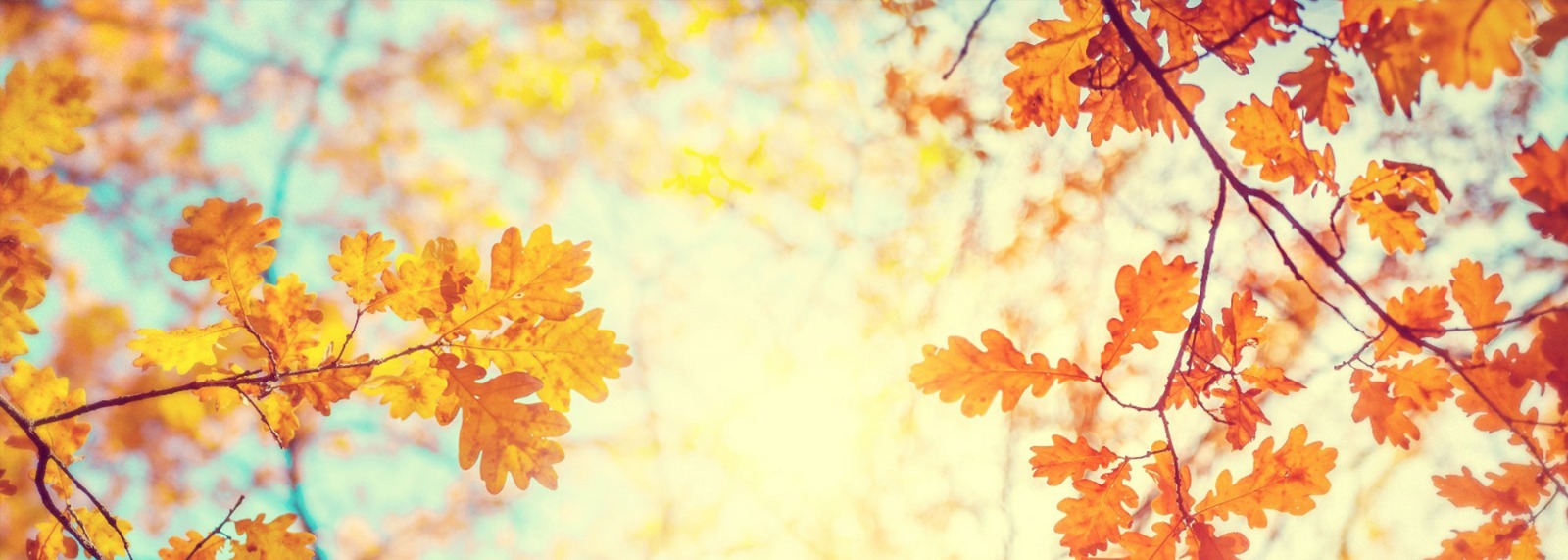 7 Steps To A Brighter Autumn