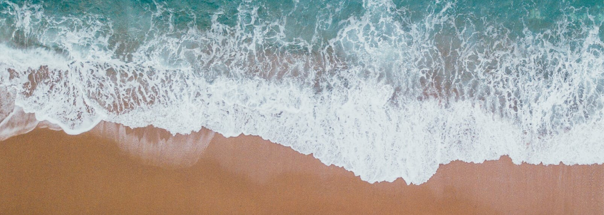 Making the World a Better Place – One Beach at a Time